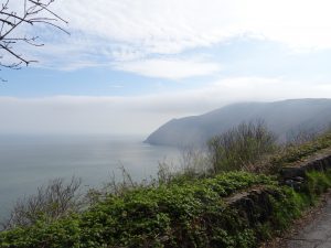DSC03163