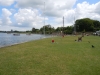 DSCN0006 DSCN0006