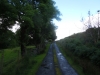 DSCN9589 DSCN9589